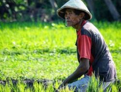 Peran Badan Usaha Milik Desa Sejahterahkan Masyarakat Desa Dalam Tinjauan Otonomi Daerah