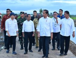 Kunjungan Panglima TNI Bersama Presiden RI ke Hanpangan Nasional Merauke, Papua Selatan