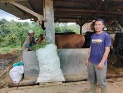 Peternakan Handeuleum Berdayakan Warga Lokal Jelang Idul Adha