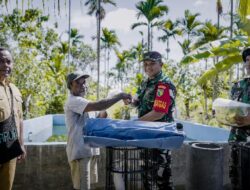 Satgas TMMD Kodim 1710/Mimika Berikan Bantuan Kolam dan Bibit Lele