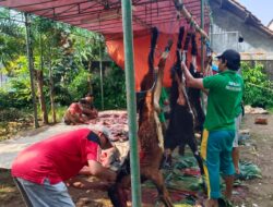 Pelaksanaan Ibadah Kurban di Masjid Raya Ar Rahman Dilaksanakan dengan Meriah dan Penuh Kebersamaan