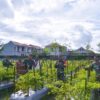 Dandim 1710/Mimika Mengunjungi Lahan Percontohan Ketahanan Pangan Petani Binaan