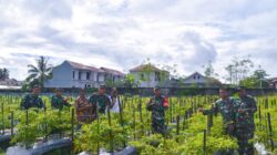 Dandim 1710/Mimika Mengunjungi Lahan Percontohan Ketahanan Pangan Petani Binaan