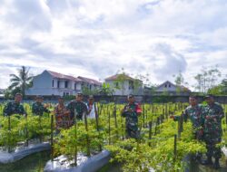 Dandim 1710/Mimika Mengunjungi Lahan Percontohan Ketahanan Pangan Petani Binaan