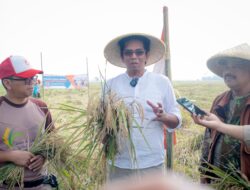 Program Wakaf Sawah Produktif untuk Ketahanan Pangan Yayasan Rindang Indonesia