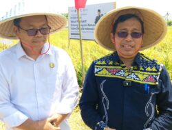 Panen Raya Wakaf Produktif Yayasan Rindang Indonesia, Aswar Wahab: Dukung Kemandirian Pangan Yatim dan Dhuafa