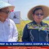 Implikasi Positif Wakaf Sawah Produktif terhadap Akses Pekerjaan dan Aset Ekonomi Keummatan