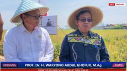 Implikasi Positif Wakaf Sawah Produktif terhadap Akses Pekerjaan dan Aset Ekonomi Keummatan