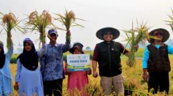 Menjawab Krisis Karakter, Model Pendidikan 3IS Rindang Indonesia Siapkan Generasi Berintegritas dan Mandiri