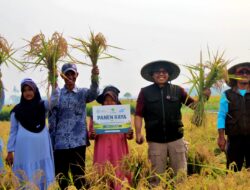 Menjawab Krisis Karakter, Model Pendidikan 3IS Rindang Indonesia Siapkan Generasi Berintegritas dan Mandiri