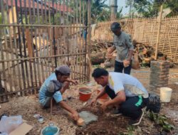 BUMDes Agrarprana Siapkan Kandang Modern Demi Ketahanan Pangan Desa