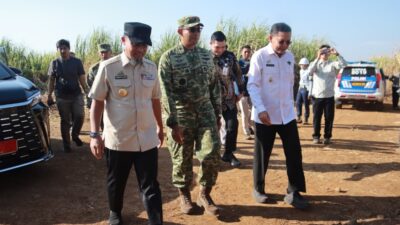 Dukung Swasembada Gula Nasional, Wabup Takalar Hadiri Panen Raya Tebu TNI Bersama Gubernur Sulsel