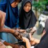 Belajar Matematika Lewat Produksi Telur Asin: Mencetak Wirausahawan Muda Berbasis Pangan Lokal