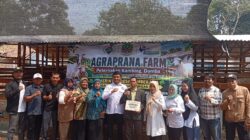 Agraprana Farm BUMDes Sumberjaya Dorong Ketahanan Pangan dan Ekonomi Masyarakat