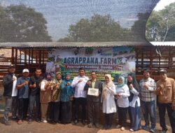 Agraprana Farm BUMDes Sumberjaya Dorong Ketahanan Pangan dan Ekonomi Masyarakat